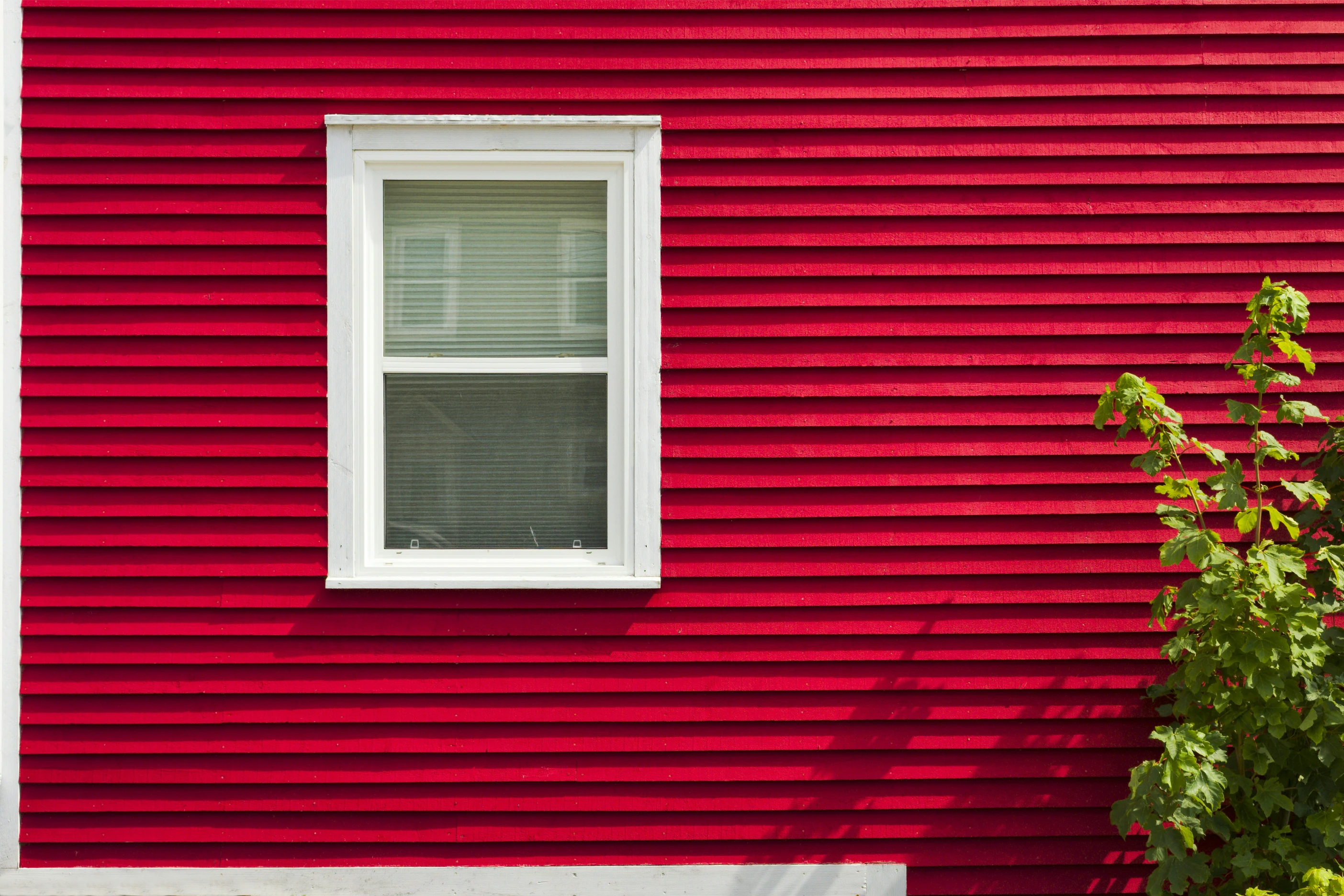 Siding Repair Company Near Me