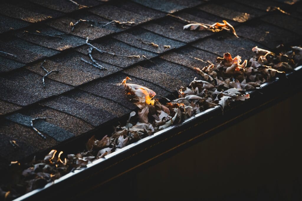 Clogged or Leaking Gutters Know the Difference and What to Do