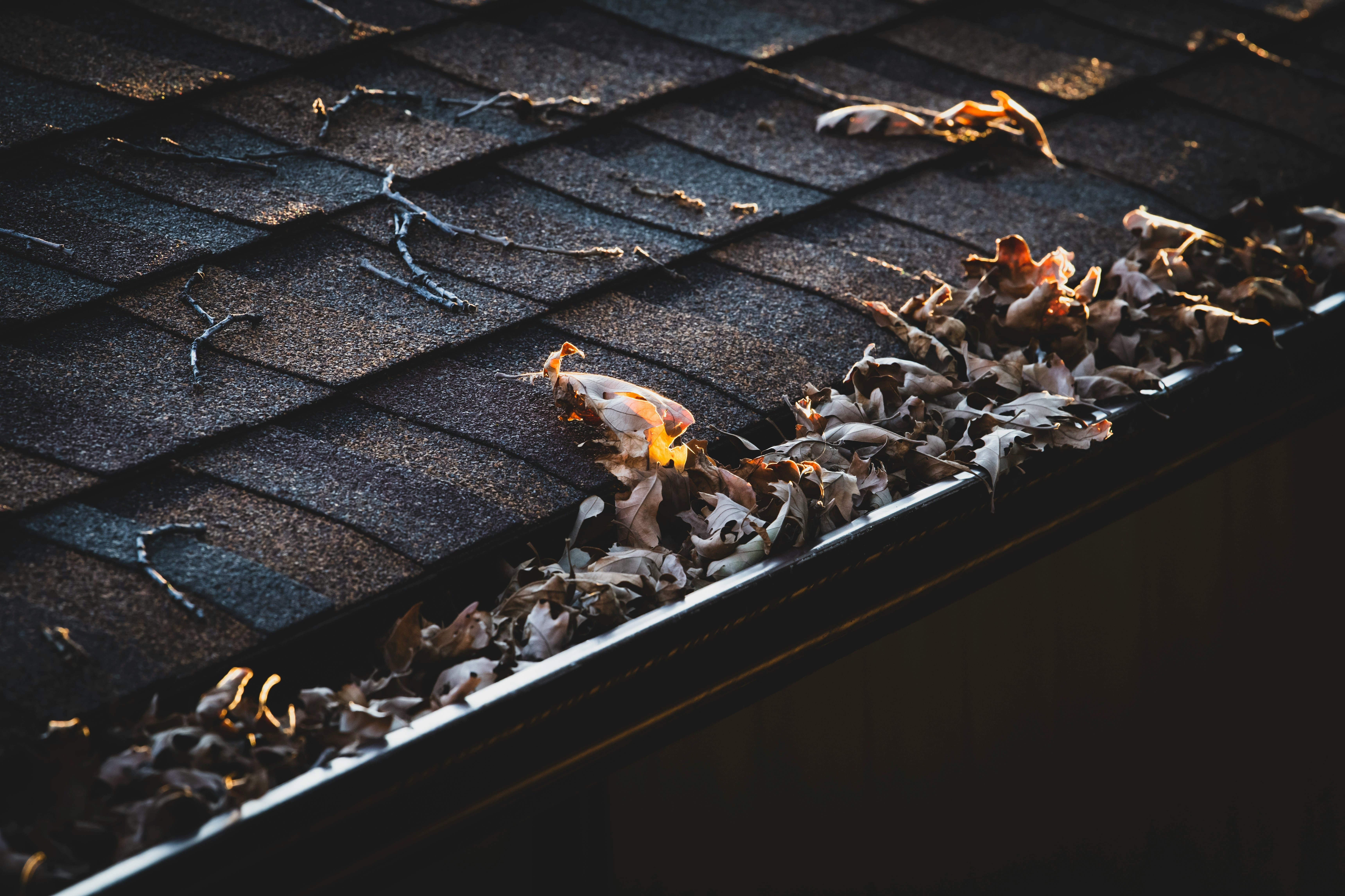 Clogged or Leaking Gutters Know the Difference and What to Do