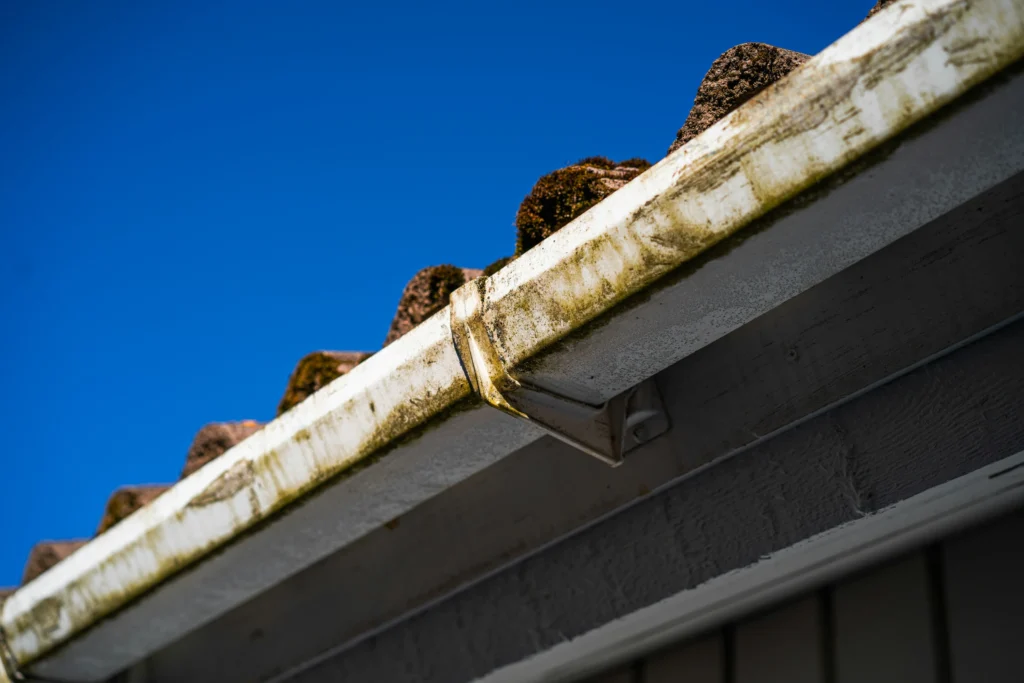 Rain Gutter Repair Near Me Powell